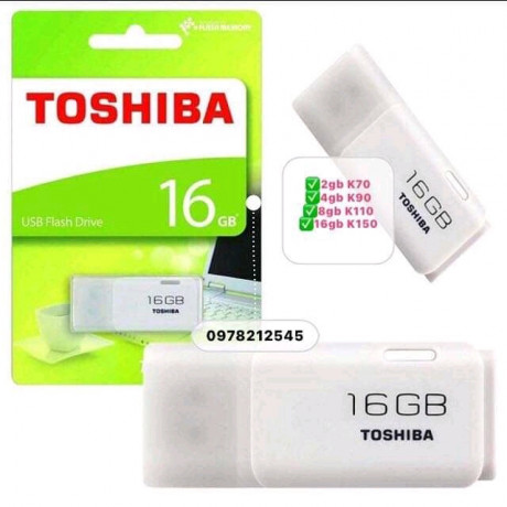 toshiba-flashdrive-big-0