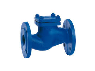 NON RETURN ( NRV) VALVES SUPPLIERS IN KOLKATA