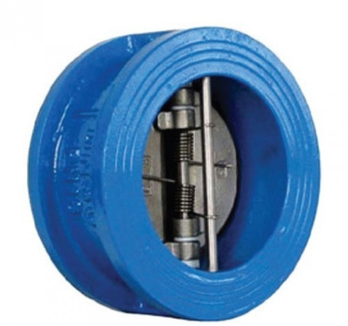 dual-plate-check-valves-suppliers-in-kolkata-big-0