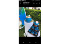 for-your-cakes-catering-services-and-cupcakes-kindly-contact-twilo-cakes-on-small-2