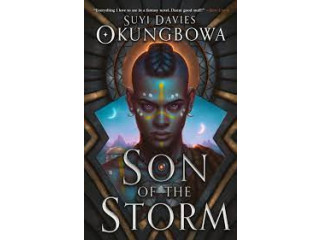 Son of the Storm - BOOK