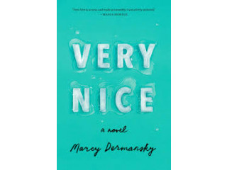 VERY NICE : a novel