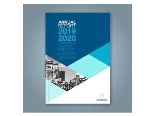 Annual Reports 2019 - 2020