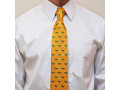necktie-unique-wear-small-0