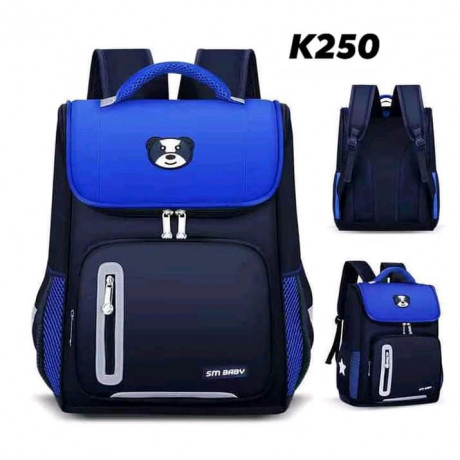 laptop-bags-big-0