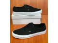 vans-small-0