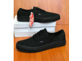 vans-small-0