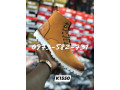 timberland-small-0