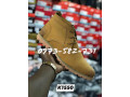 timberland-small-0